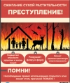 Сжигание сухой растительности - преступление!