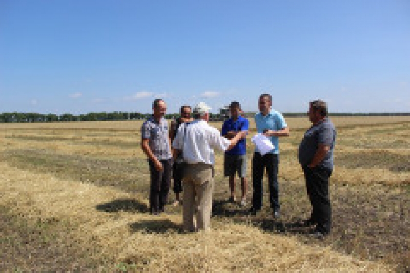 В примарии создана комиссия по охране урожая