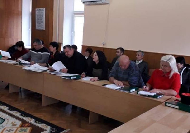 Советники Чадыр-Лунги обсудили имеющуюся в городе проблему с бродячими собаками (Видео)