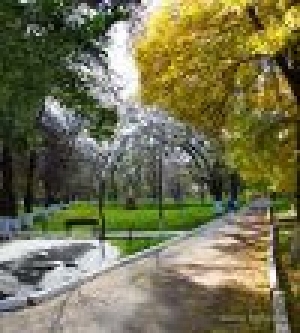 WI-FI в Чадыр-Лунге