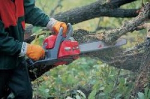 Срочно! Помощь предоставлена своевременно!